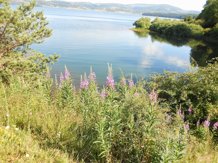 Pogled na Vlasinsko jezero