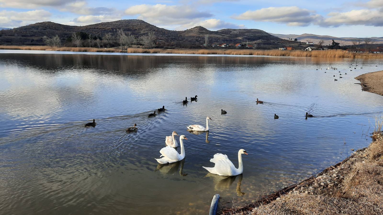 Oblačinsko jezero